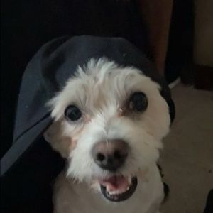 Meet your Posher, Jaila